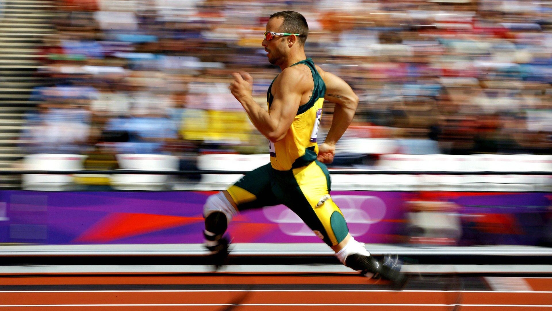 中小学体育教师培训体系构建与优化建议，中小学体育教师培训体系构建与优化建议