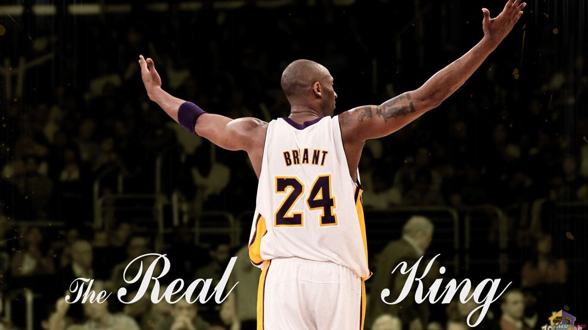 山西龙狮加强中距离投篮训练提高效率